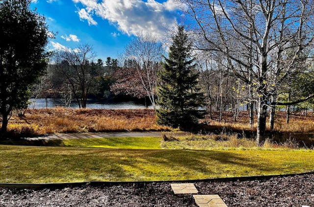 view of yard with a water view