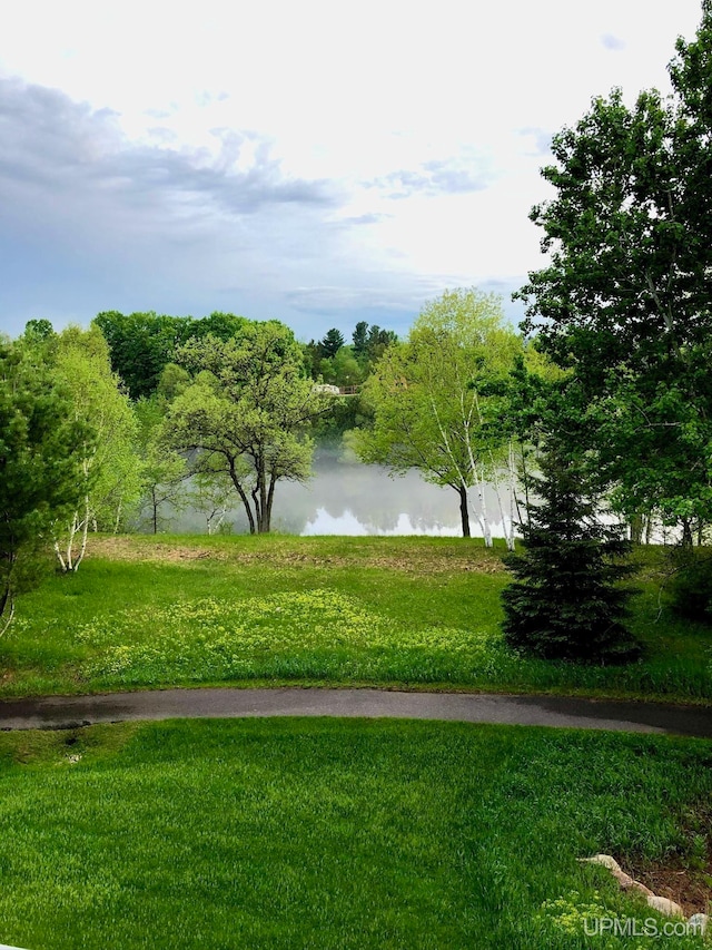 view of property's community featuring a yard and a water view