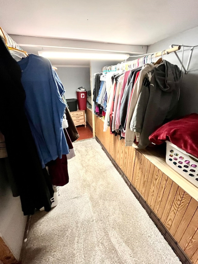 spacious closet featuring carpet flooring