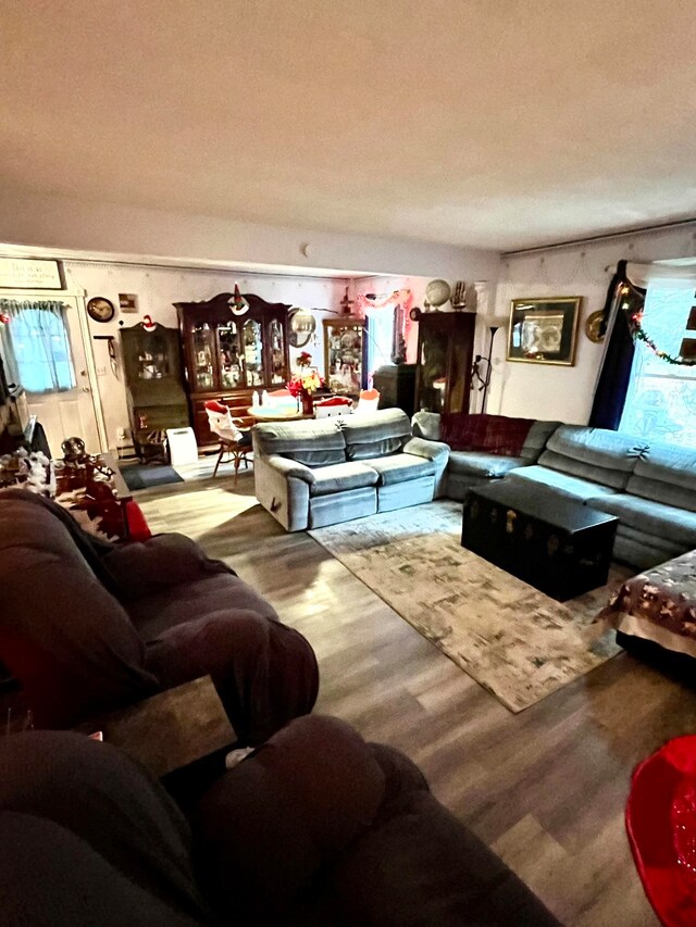 living room with wood-type flooring