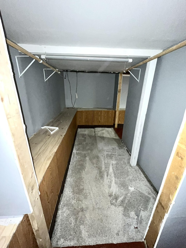 basement with carpet