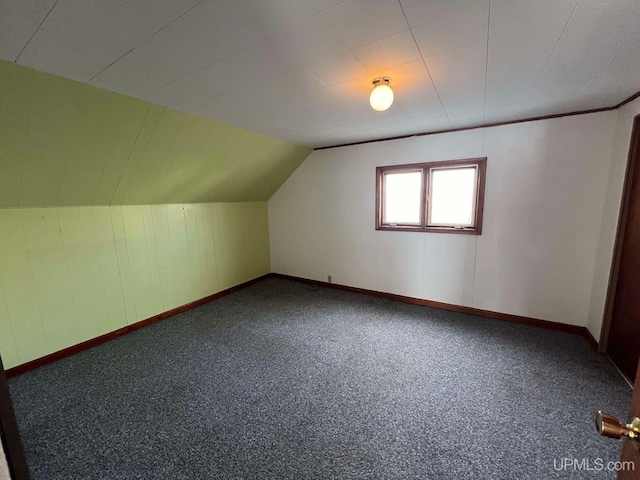 additional living space featuring carpet floors and vaulted ceiling