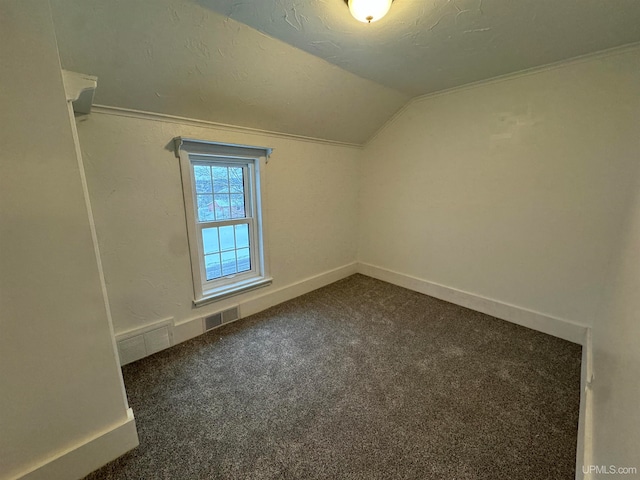 additional living space featuring dark colored carpet, a textured ceiling, and vaulted ceiling