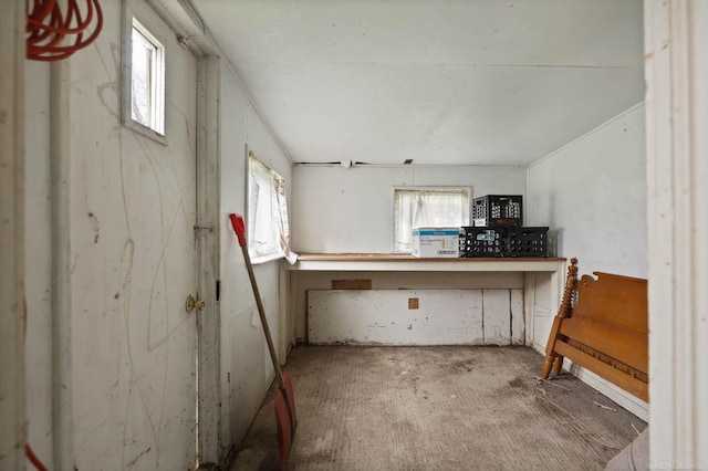 310 S Main St, Vassar, MI 48768 - view of basement