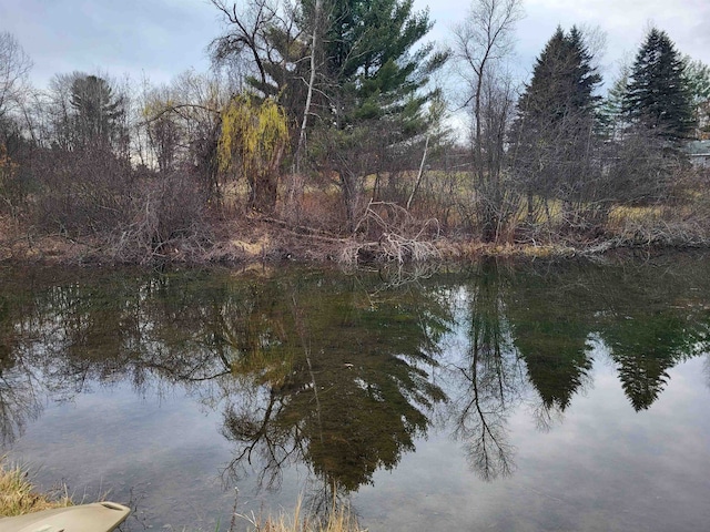 view of water feature