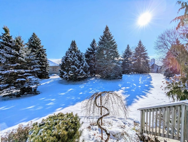 view of yard layered in snow