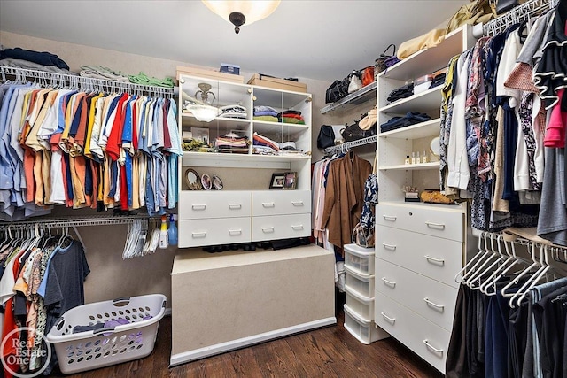 spacious closet with dark wood-style floors