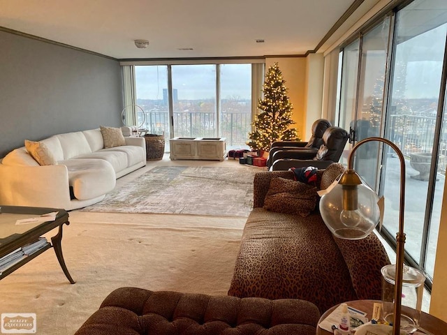 carpeted living room with expansive windows and crown molding