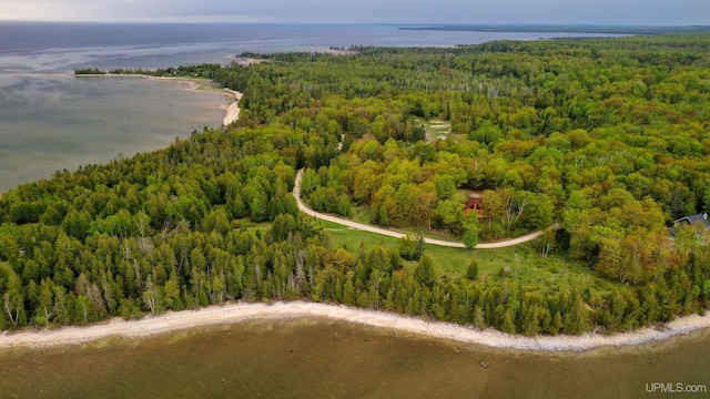 TBD Barque Point Trail, Manistique MI, 49854 land for sale