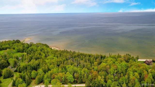 Listing photo 2 for TBD Barque Point Trail, Manistique MI 49854