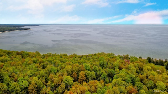 Listing photo 3 for TBD Barque Point Trail, Manistique MI 49854