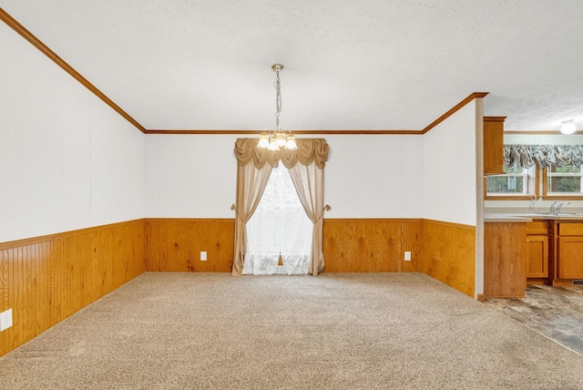 unfurnished room with carpet flooring, a healthy amount of sunlight, wood walls, and a textured ceiling