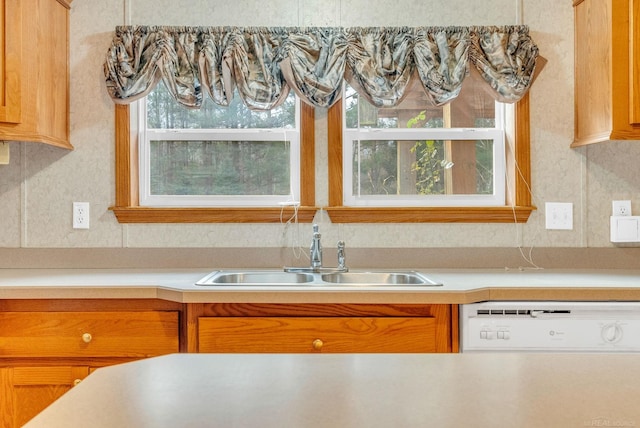 kitchen with white dishwasher and sink