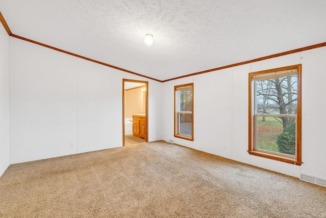 empty room featuring a textured ceiling, carpet floors, and crown molding