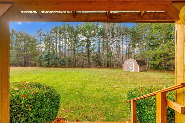 view of yard featuring a shed