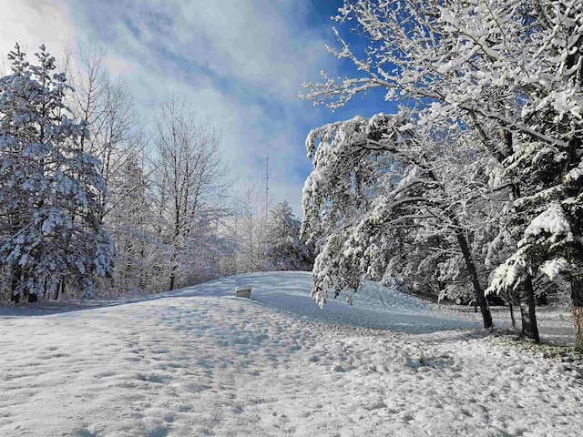 view of snowy yard