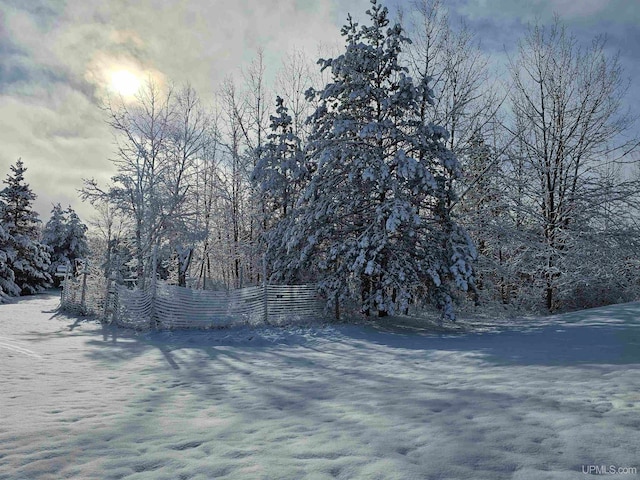 view of yard layered in snow