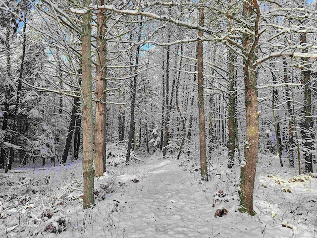 view of snowy landscape