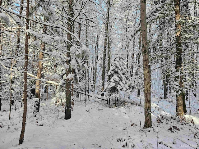 view of snowy landscape