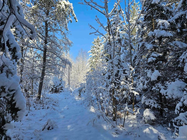 view of snow covered land