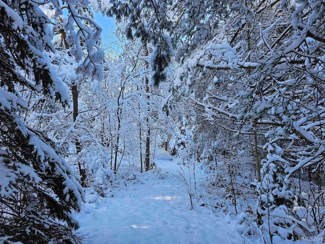 view of snow covered land