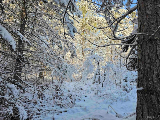 view of snowy landscape