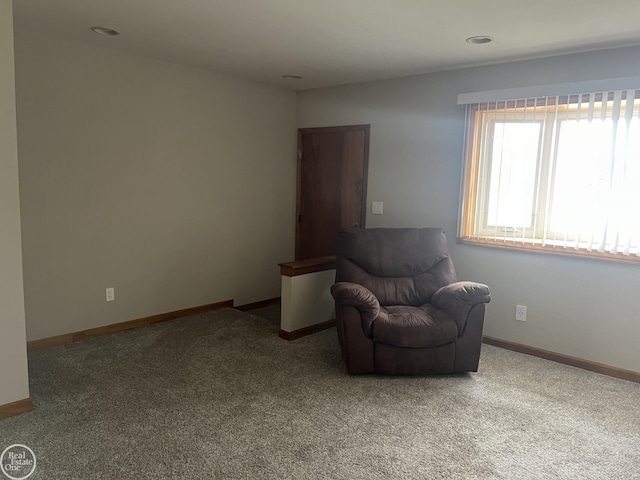 living area featuring carpet floors