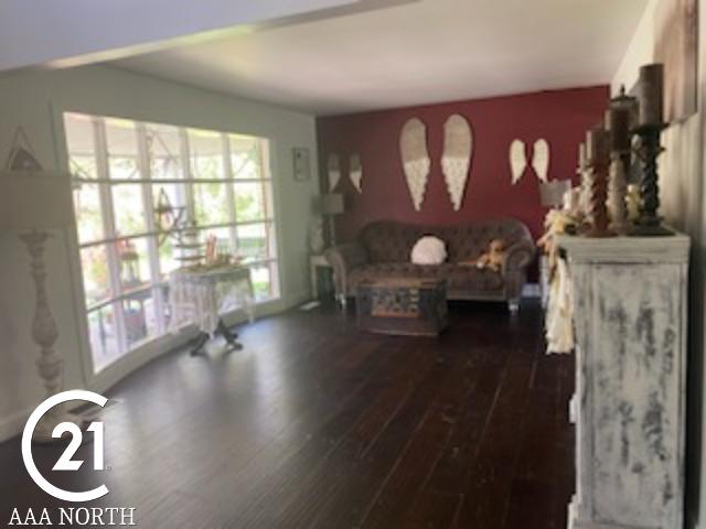 living room featuring dark hardwood / wood-style floors