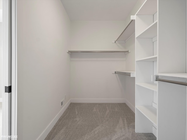 spacious closet featuring carpet floors