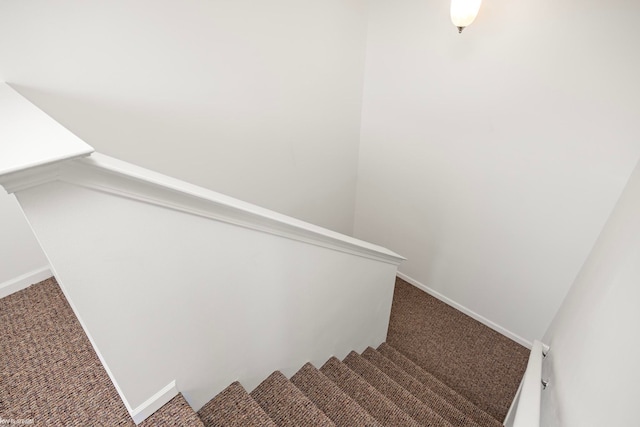 stairs with carpet flooring