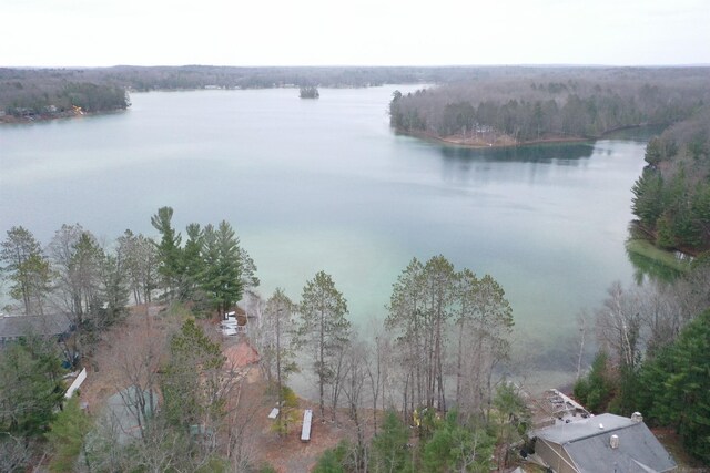 20730 Long Lake Rd, Hillman, MI 49746