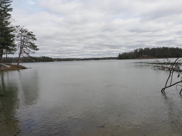 20730 Long Lake Rd, Hillman, MI 49746