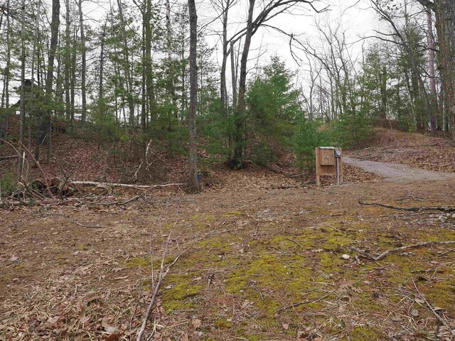 20730 Long Lake Rd, Hillman, MI 49746