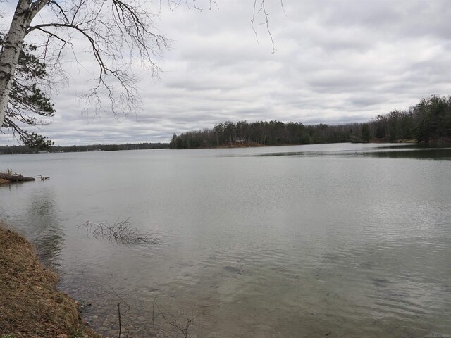 20730 Long Lake Rd, Hillman, MI 49746
