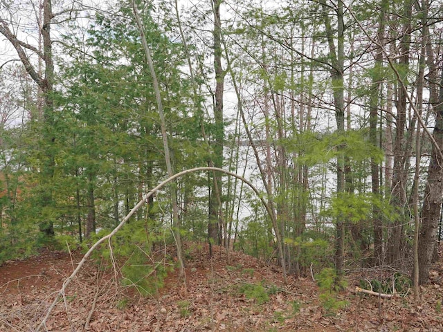 20730 Long Lake Rd, Hillman, MI 49746