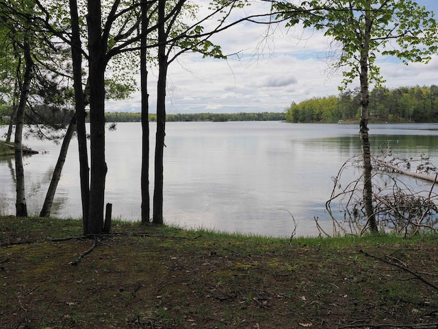 20730 Long Lake Rd, Hillman, MI 49746