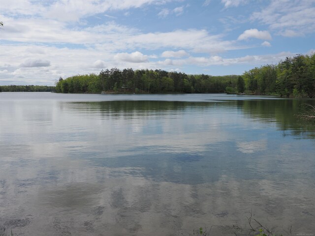 20730 Long Lake Rd, Hillman, MI 49746