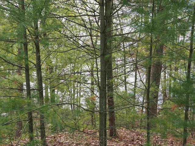 20730 Long Lake Rd, Hillman, MI 49746