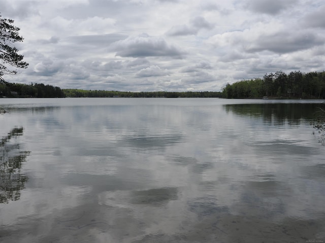20730 Long Lake Rd, Hillman, MI 49746