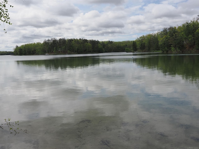 20730 Long Lake Rd, Hillman, MI 49746