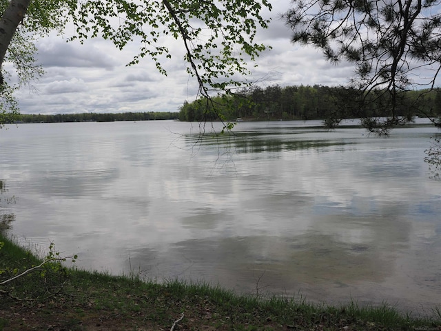20730 Long Lake Rd, Hillman, MI 49746