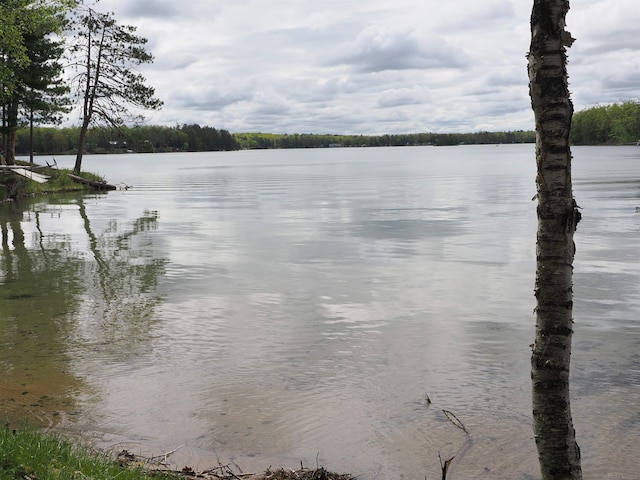 20730 Long Lake Rd, Hillman, MI 49746