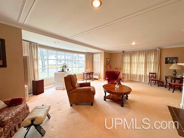 living room featuring crown molding and light carpet