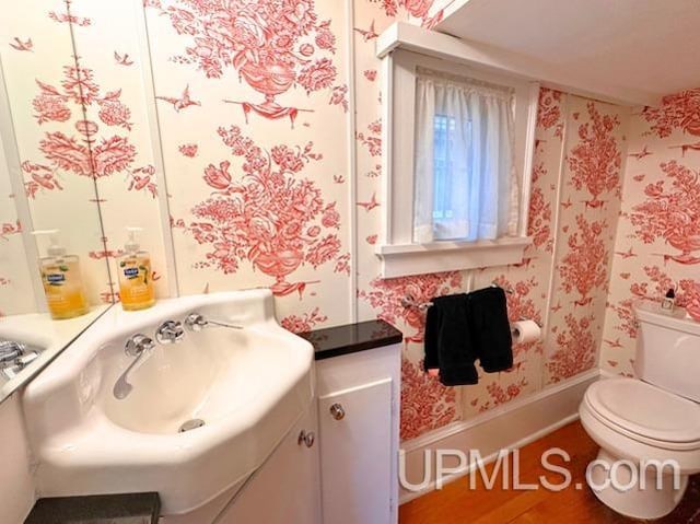 bathroom featuring vanity, hardwood / wood-style flooring, and toilet