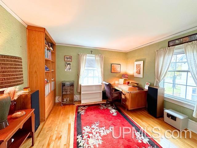 office space featuring a wealth of natural light, ornamental molding, and light wood-type flooring