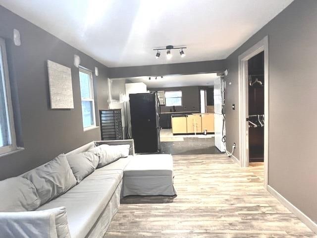 living room featuring light hardwood / wood-style flooring