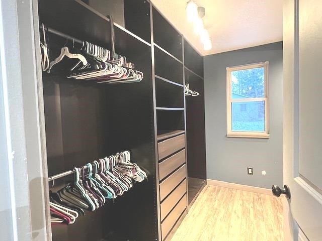 spacious closet with wood-type flooring