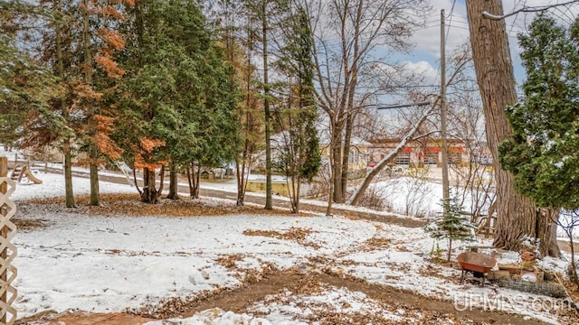 view of snowy yard