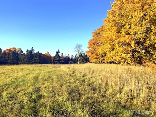 view of yard featuring a rural view