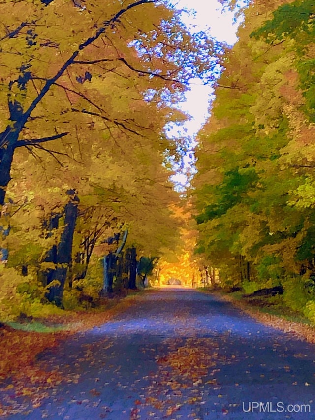 view of road